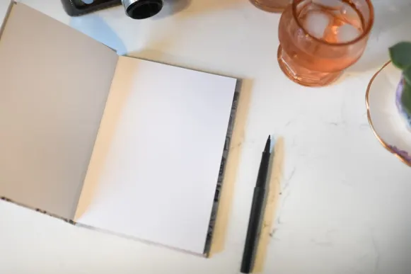 Cazino Mint Bingo Cazinou Suport